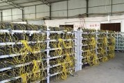 比特币挖矿难度首次增长 比特币挖矿矿难