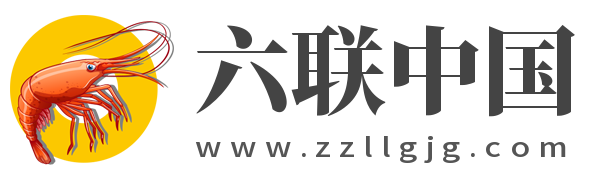 六联中国